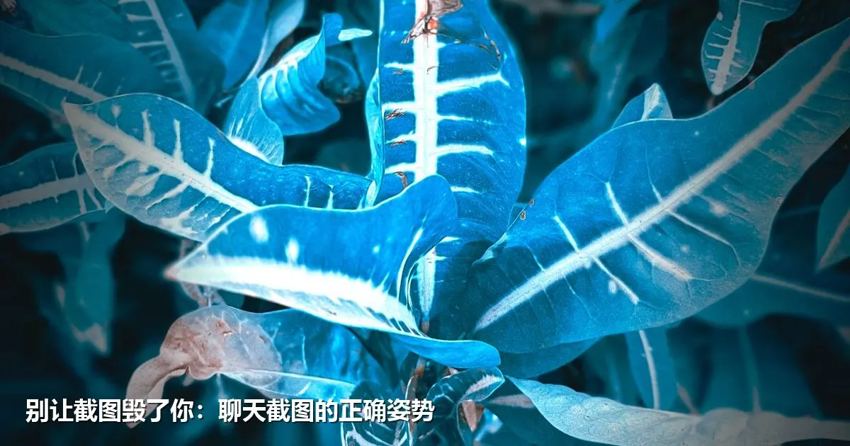 别让截图毁了你：聊天截图的正确姿势