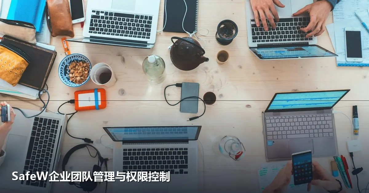 SafeW企业团队管理指南